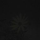  , , 55  -  23  2017   Ż
