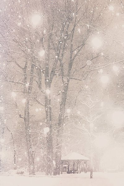   ,    . - 5