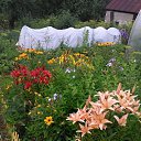 ����� �� ������� ���� ����������