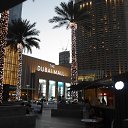 ����� ���� � �������� ���� ����� �� ������� ��������, 2017�