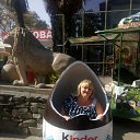  , , 41  -  28  2017   2017