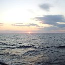  , -, 60  -  29  2017    