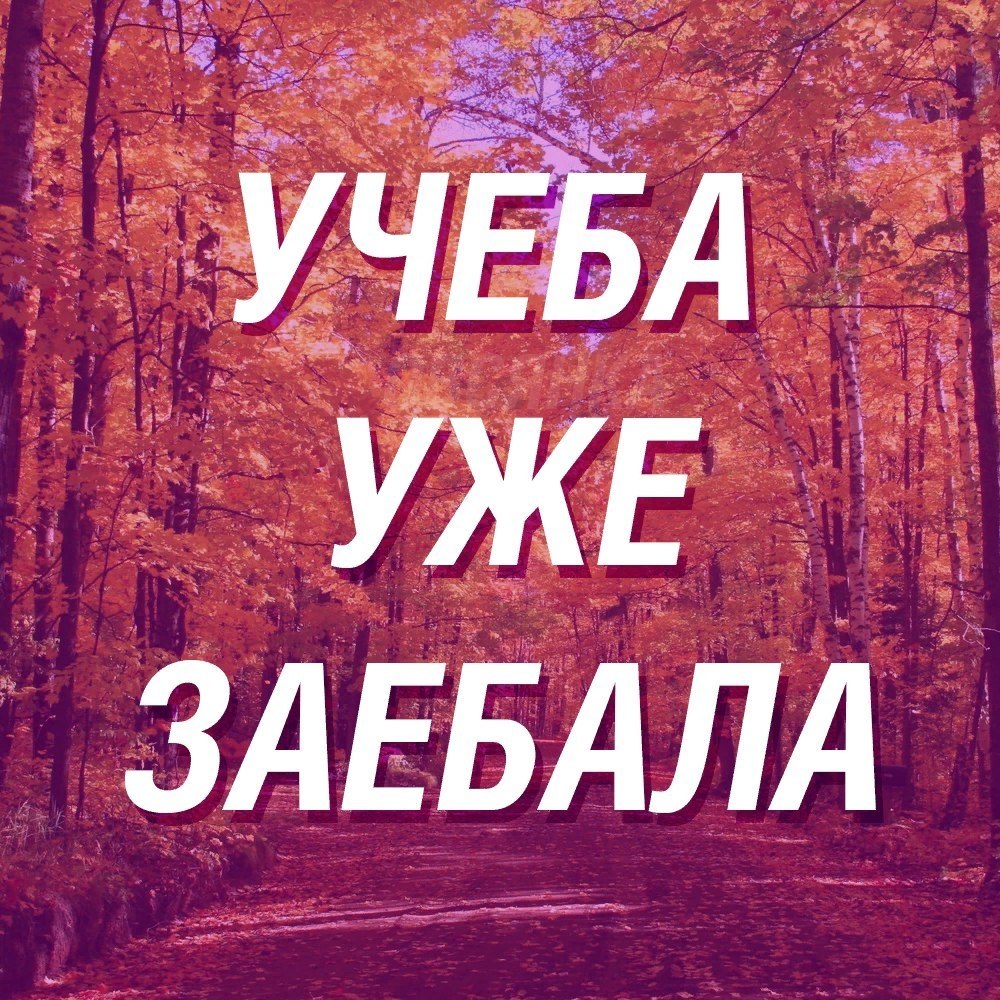    - 5  2017  08:35