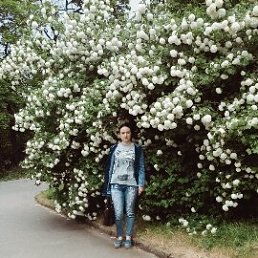 ������, �����������, 44 ����