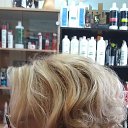 ���� ������, �����-���������, 66 ��� - ��������� 6 ������ 2017 � ������ �2017�