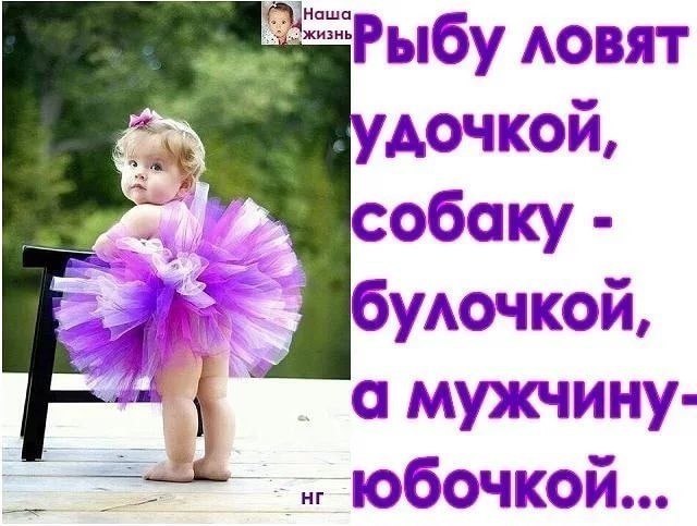 , , , ,  - 13  2017  20:31