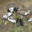 ���� ����, ���������� - ��������� 21 ��� 2017