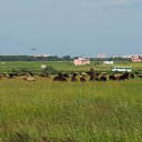 ���� Valera, ������, 46 ��� - ��������� 5 ���� 2017 � ������ ���� ����������