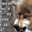 ���� ������ ������������, ������, 61 ��� - ��������� 31 ��� 2018 � ������ ���� ����������