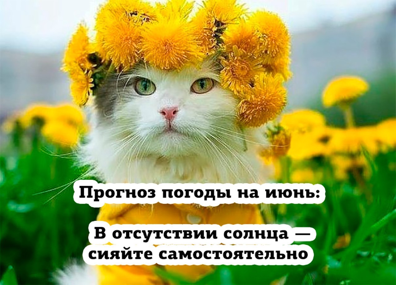  - 7  2018  03:47