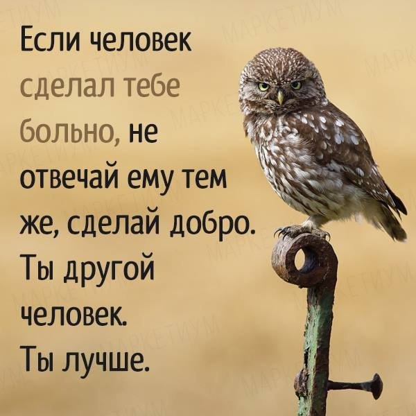   - 13  2018  02:58