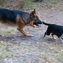  , , 60  -  27  2018     Ecce Homo ()