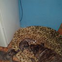 ���� �������, �����-���������, 45 ��� - ��������� 8 ����� 2018 � ������ ������ ��������