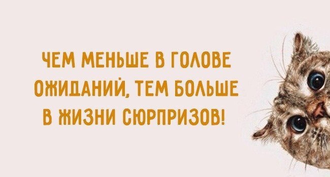     - 5  2018  03:36