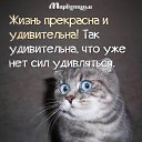 ���� �����, ����� - ��������� 6 ��� 2018 � ������ ������ ��������