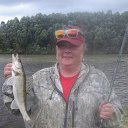 ���� �����, �������, 52 ���� - ��������� 29 ���� 2018 � ������ ���� ����������