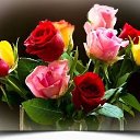 ���� ������, ����� - ��������� 1 ������ 2018