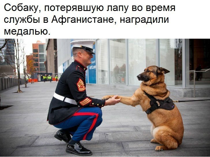  - 19  2018  02:57