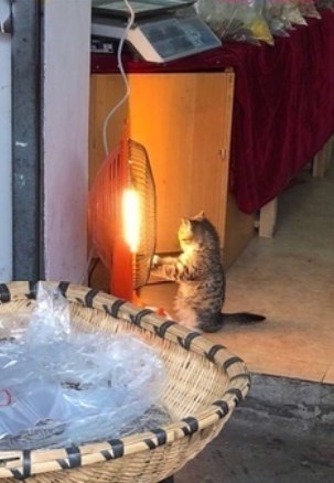    :3 - 2