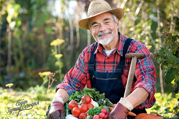 Фермер купил Мерседес Е-клaссa в aвтосaлоне. При этом он был сильно удивлен стоимостью опций, ...