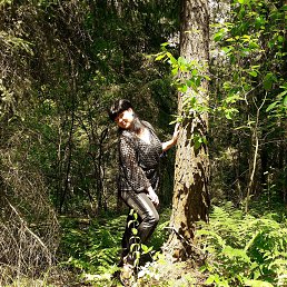 ���� ������, ������, 37 ��� - ��������� 19 ���� 2018