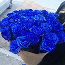 ���� ����, ������, 55 ��� - ��������� 18 ������ 2018 � ������ ������ ��������