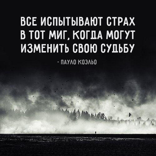  | ,  - 20  2017  03:52