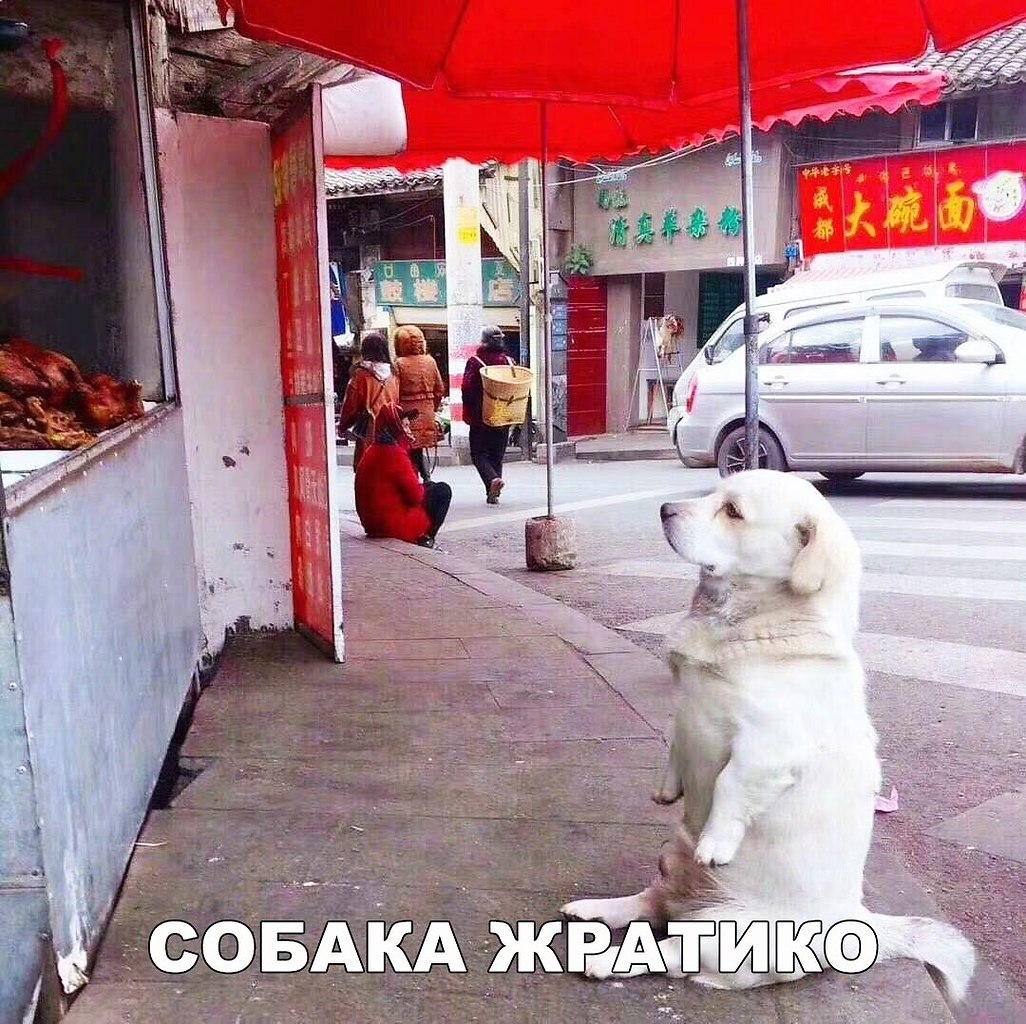    :D - 27  2018  03:44