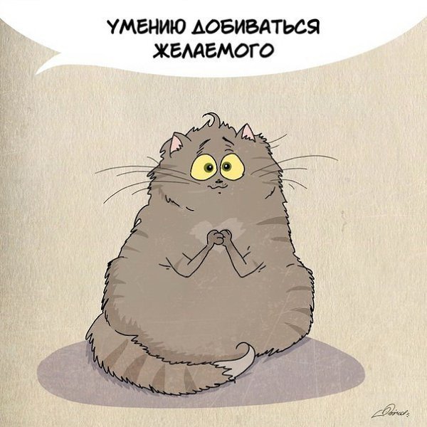 1 марта отмечается День кошек. Нам есть чему поучиться у шерстяных засранцев :3 - 4