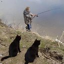 ���� ��������, ������, 59 ��� - ��������� 21 ������� 2018 � ������ ���� ����������