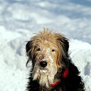 ���� ������, ������, 49 ��� - ��������� 21 ������� 2018 � ������ �������� SONY 75-300 + �����