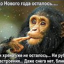 ���� �����, ��������, 57 ��� - ��������� 17 ������� 2017 � ������ ������ ��������