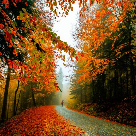 ��� - 26 ������ 2017 � 18:59