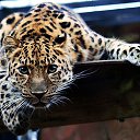 ���� ����, �����-���������, 34 ���� - ��������� 4 ����� 2018 � ������ ������ ��������