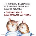 ���� �����, �����-��������� - ��������� 10 ����� 2018 � ������ ������ ��������