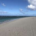 ���� Vincent, ������������, 50 ��� - ��������� 13 ������ 2018 � ������ ���� ����������