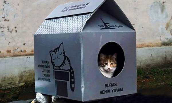 Вот такие домики ставят в Турции бездомным котам. Написано: «Это мой домик. Пожалуйста, не ...