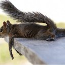 ���� �����, ������ - ��������� 23 ����� 2018 � ������ ���� ����������
