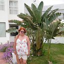   205, , 62  -  3  2018    