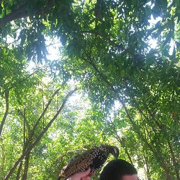 ��������, ������, 58 ���