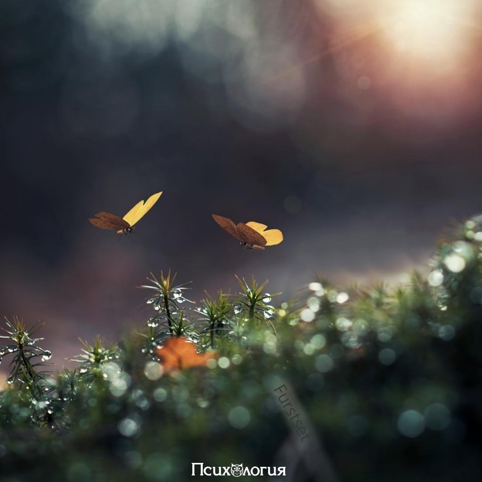     .     .     .  , ...