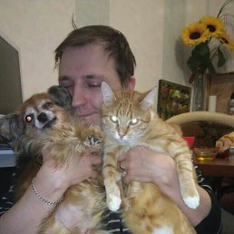 �����, �����-���������, 38 ���