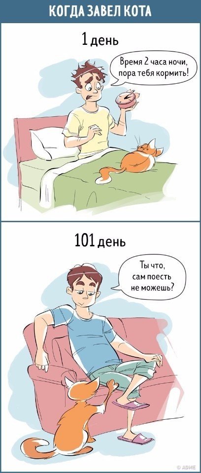         100 .  ? #@ican - 6