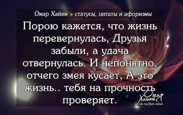 Что бы ты ни дал женщине, она даст тебе больше. Настоящая женщина умножает и увеличивает всё, что ей ... - 2