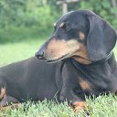 ���� Mishka, ������ - ��������� 26 ���� 2018 � ������ ���� �����