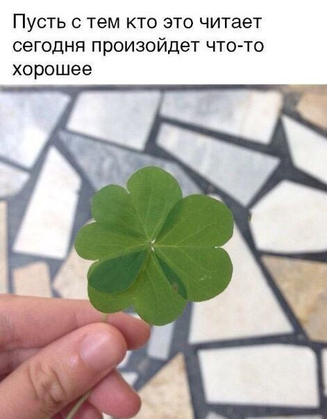    :D - 7  2018  04:10