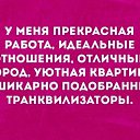 ���� ������, �����-���������, 44 ���� - ��������� 1 ������� 2017 � ������ ������ ��������