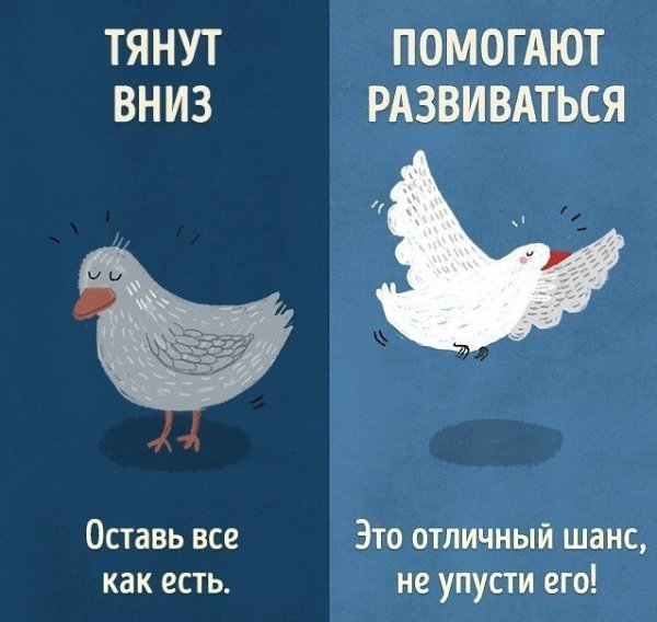 Есть только два типа людей: одни тянут вниз, а другие помогают развиваться. - 10