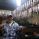 ���� �����, �����������, 44 ���� - ��������� 8 ���� 2018 � ������ ���� ����������