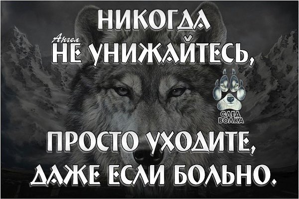Единожды предав – предаст не раз, Единожды солгав – солжет и дважды, Хоть ложь не выставляют на ...